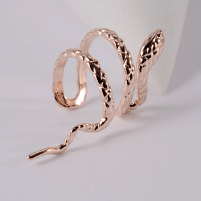 Brinco Encanto da Serpente