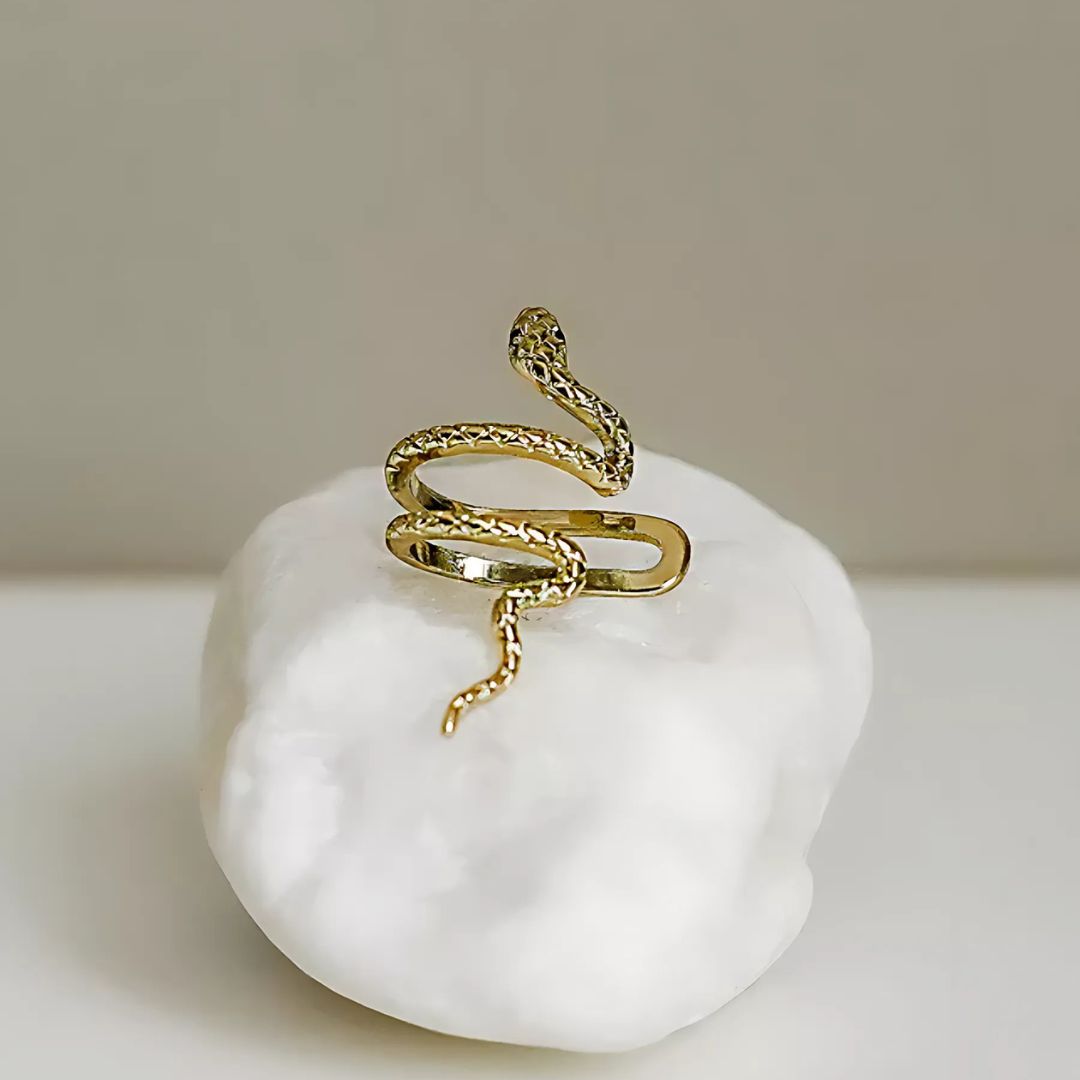 Brinco Encanto da Serpente