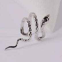 Brinco Encanto da Serpente